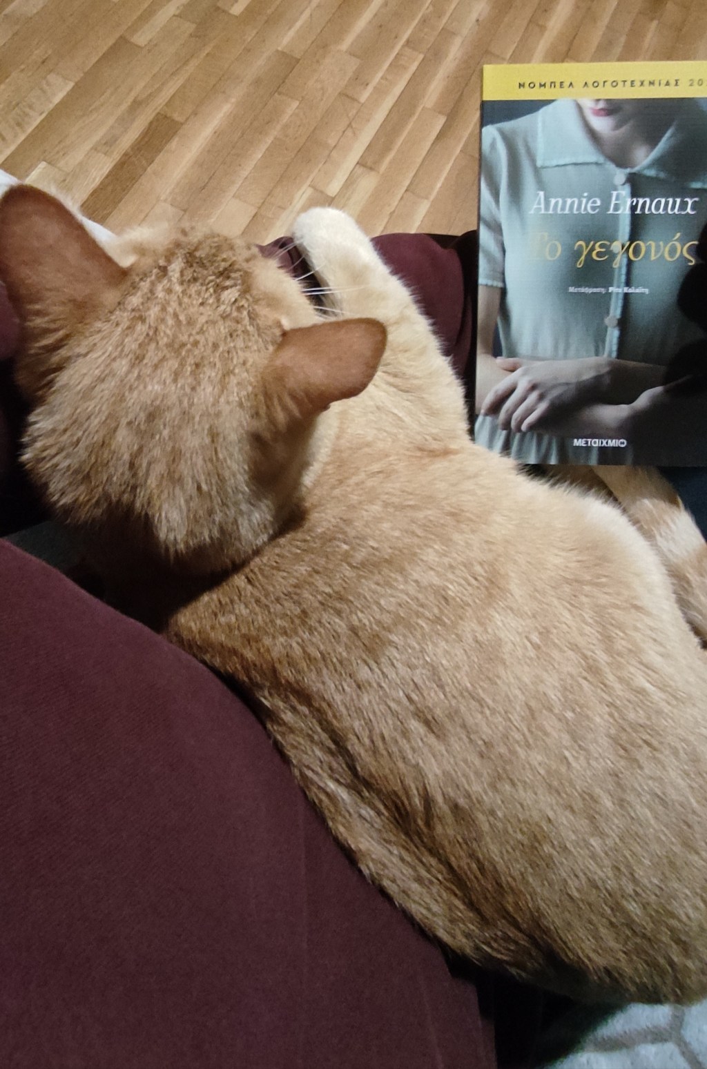 «Το γεγονός» της Annie&nbsp;Ernaux