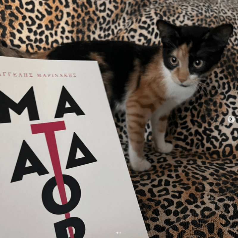 «Ματαδόρ» του Βαγγέλη&nbsp;Μαρινάκη